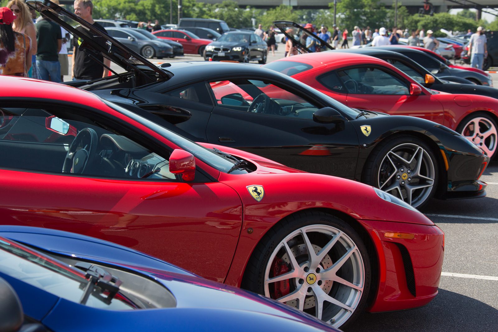 Rows of Ferrari's at car show