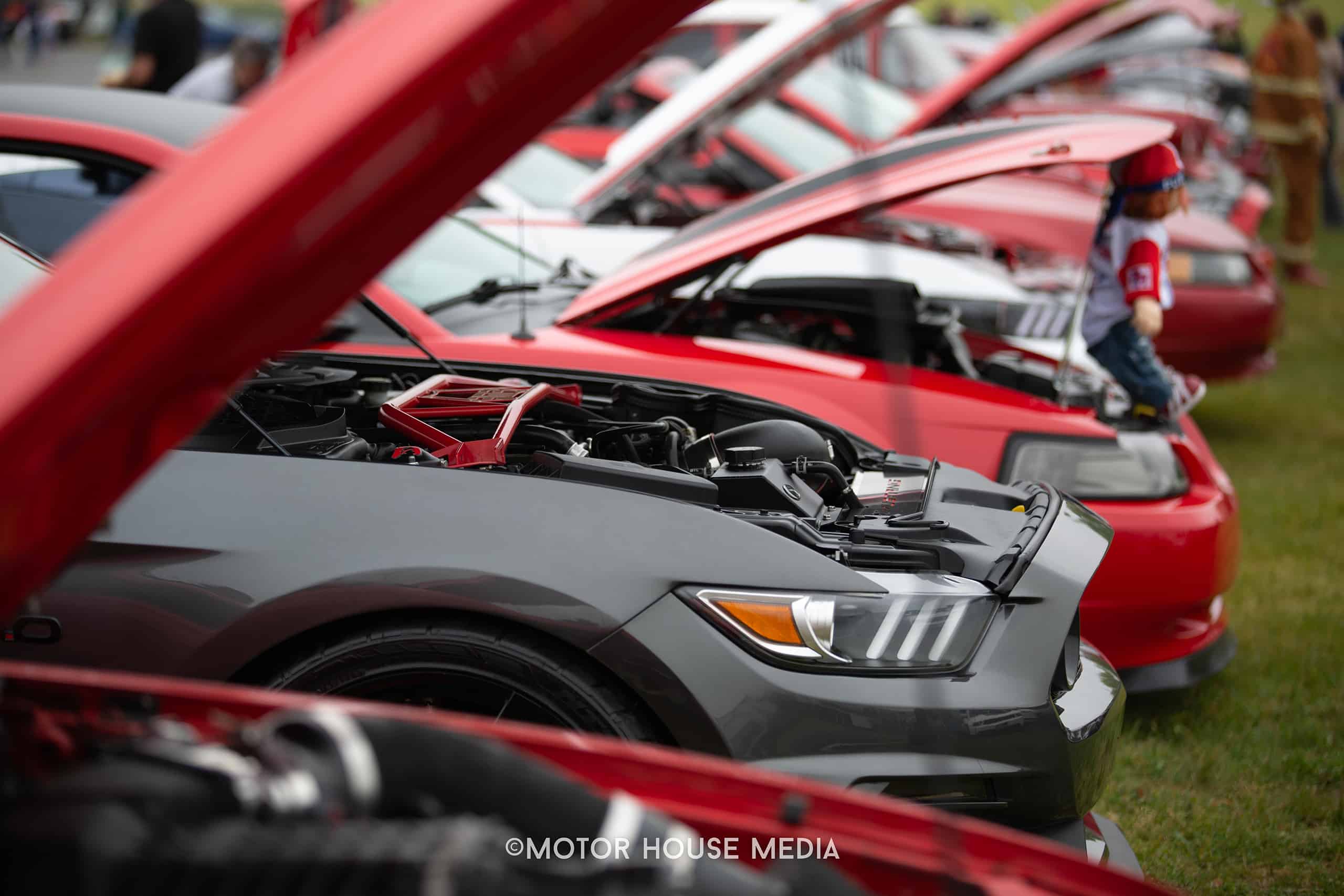 Mustangs at The Turn 5 auto show